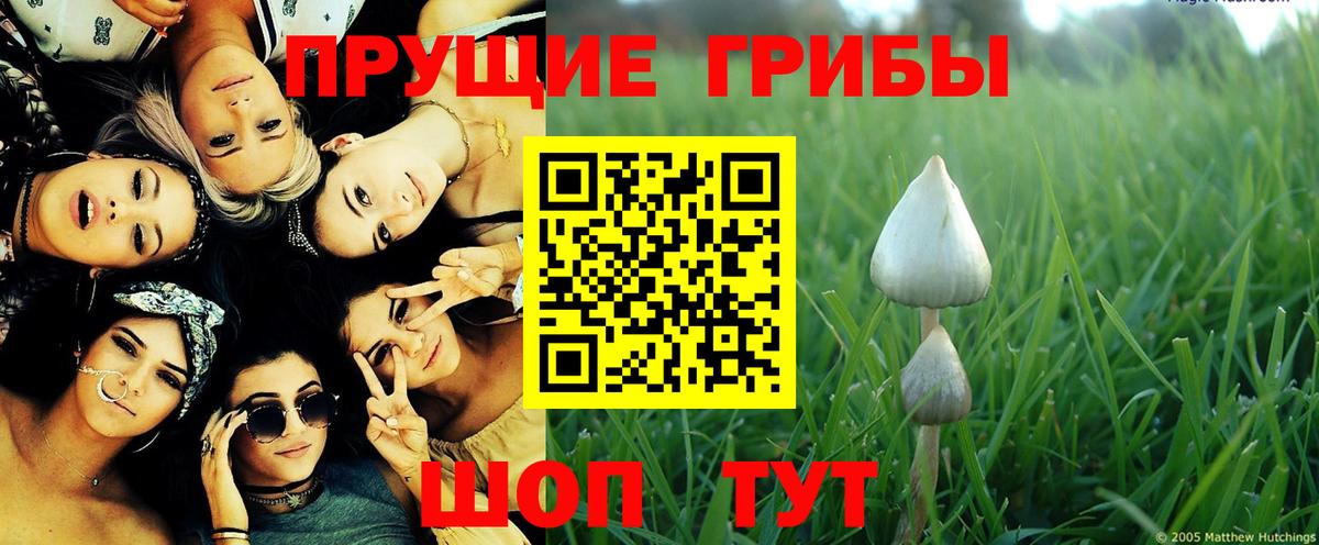 Псилоцибиновые грибы Magic Shrooms Луга