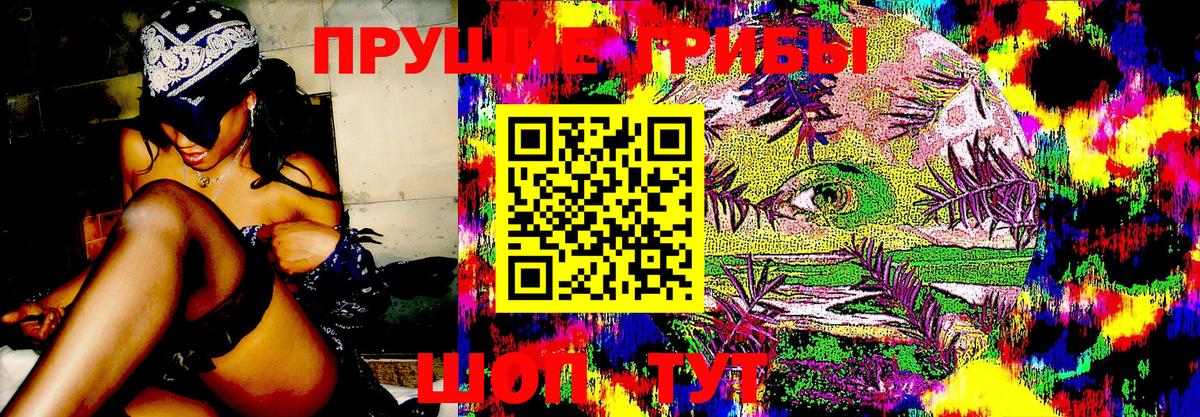 Луга  Галлюциногенные грибы мухоморы  Вход с VPN 